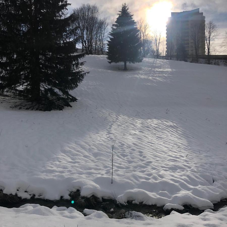 Pano Hohegeiss App 363 Mit Wlan Apartment Braunlage Exterior photo